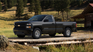 Chevy Silverado Parked in the woods