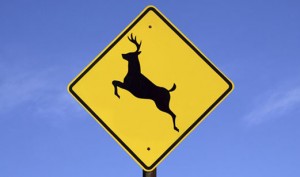 Deer Crossing Sign McGrath